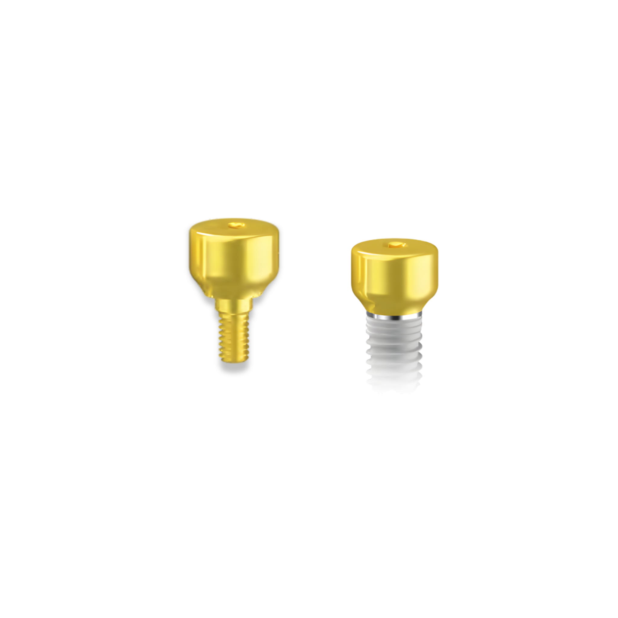 Einheilabutment breit FTF - Titan Gr. 5 - Eloxiert